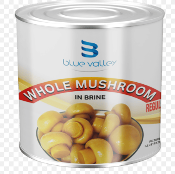 BLUE MUSHROOM 800G.