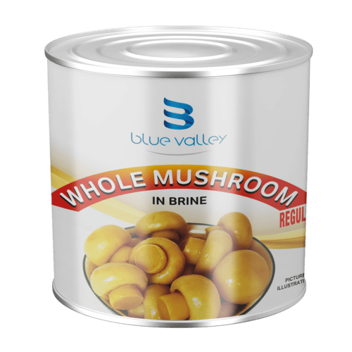 BLUE MUSHROOM 800G.