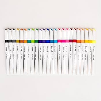 CAMLIN BRUSH PENS 24N