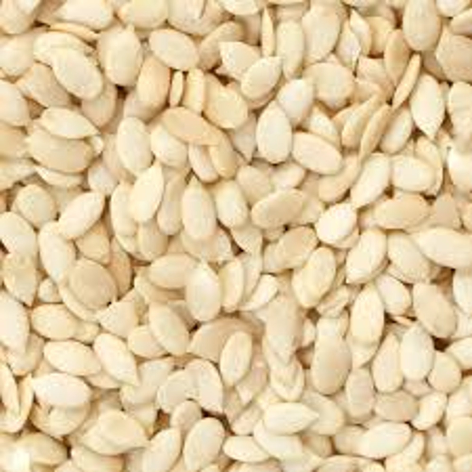 JK MAGACH 500G*40S